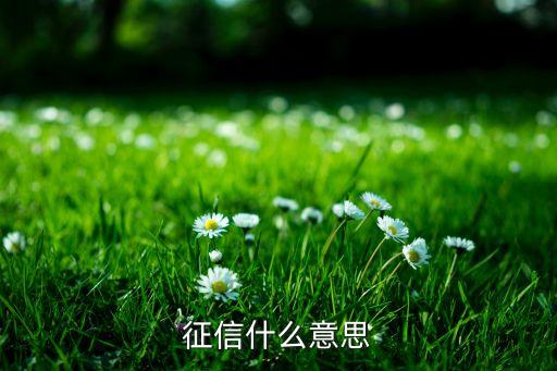 征信什么意思