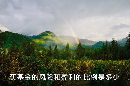 買基金的風險和盈利的比例是多少