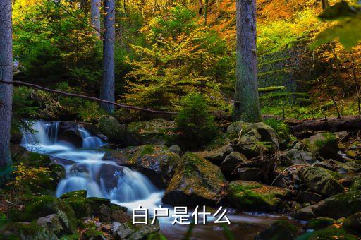 什么叫信用白戶，請(qǐng)問(wèn)一下什么叫信用卡白戶啊現(xiàn)在銀行都不受理白戶嗎