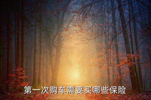 新買車買什么保險(xiǎn)，新車該買那些保險(xiǎn)