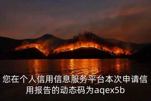 您在個人信用信息服務平臺本次申請信用報告的動態(tài)碼為aqex5b