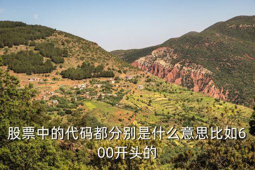 股票600開(kāi)頭的什么意思，600開(kāi)頭的股票是什么意思