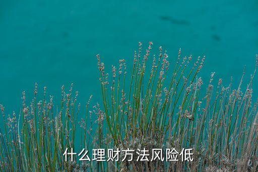 什么理財(cái)方法風(fēng)險(xiǎn)低
