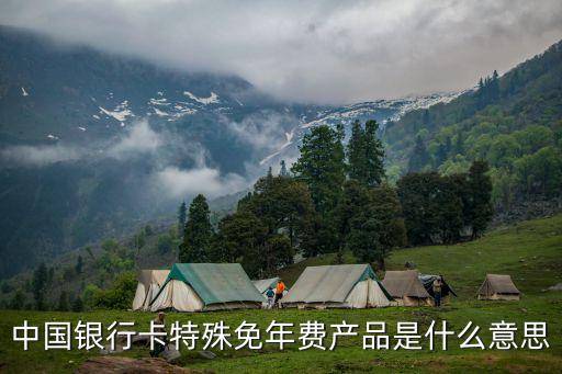 儲蓄卡免年費是什么意思，免年費是什么意思