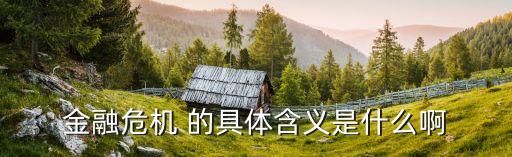 金融危機 的具體含義是什么啊