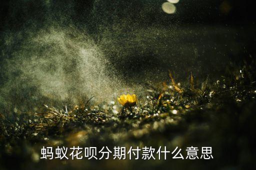 螞蟻花唄分期付款什么意思