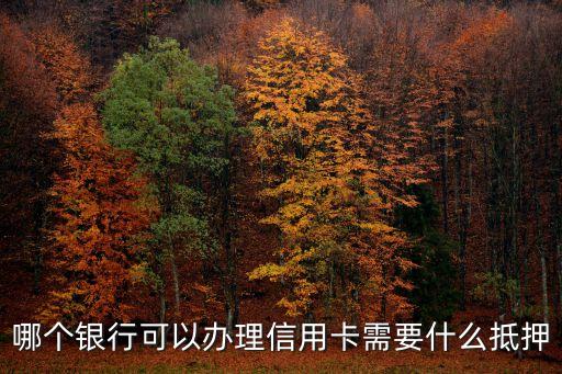 哪個(gè)銀行可以辦理信用卡需要什么抵押