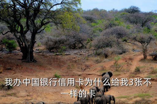 雙標(biāo)卡是什么，我辦中國銀行信用卡為什么給我3張不一樣的卡