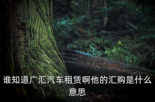 誰知道廣匯汽車租賃啊他的匯購是什么意思