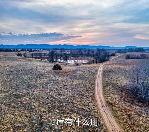 手機(jī)銀行e盾有什么用，網(wǎng)上銀行的那個(gè)U盾有什么用