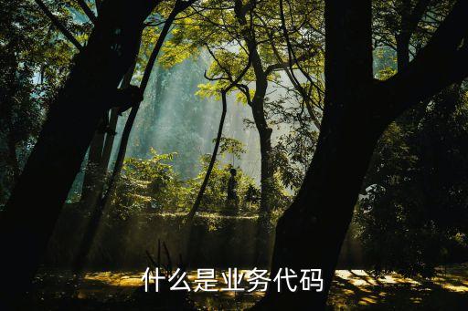 業(yè)務代碼 交易代碼是什么東西，什么是交易代碼