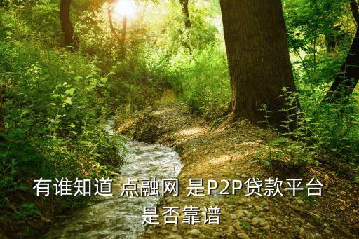 有誰知道 點(diǎn)融網(wǎng) 是P2P貸款平臺(tái) 是否靠譜