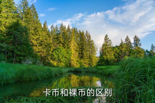 卡幣和裸幣的區(qū)別