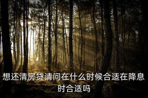 想還清房貸請問在什么時候合適在降息時合適嗎