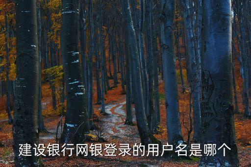 建設(shè)銀行網(wǎng)銀登錄的用戶名是哪個