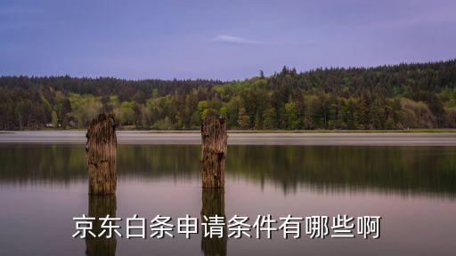 京東白條支付是用什么條件，京東白條申請條件有哪些啊