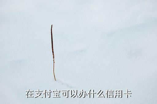 在支付寶可以辦什么信用卡