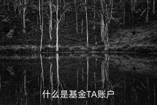ta在基金公司指什么，基金公司的TA代碼是怎么回事