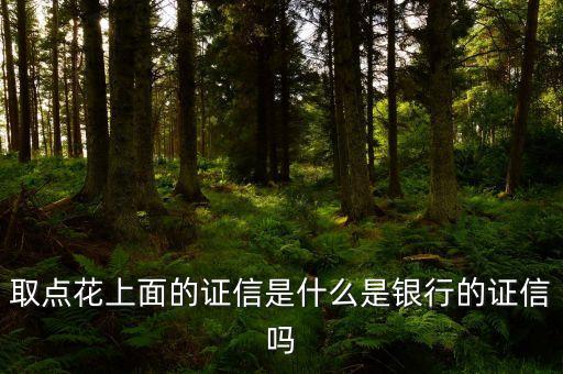 證信到底是什么意思啊，取點花上面的證信是什么是銀行的證信嗎