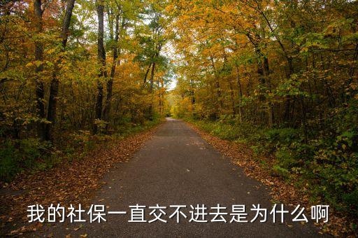 為什么交不了社保，請問我社保為什么交不出去