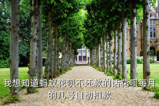花唄什么時(shí)候扣錢，我想知道螞蟻花唄不還款的話花唄每月的幾號(hào)自動(dòng)扣款