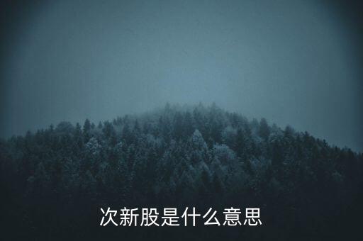次新股是什么意思