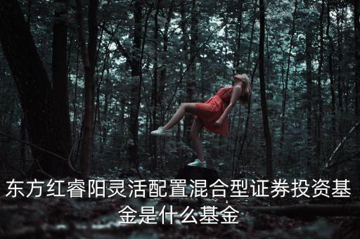 004640是什么基金，公司代碼0046基金券種代碼460001是什么基金市值多少