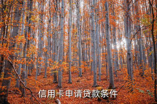 信用卡申請(qǐng)貸款條件
