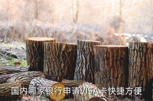 什么銀行visa卡快，哪個(gè)銀行辦visa信用卡最快