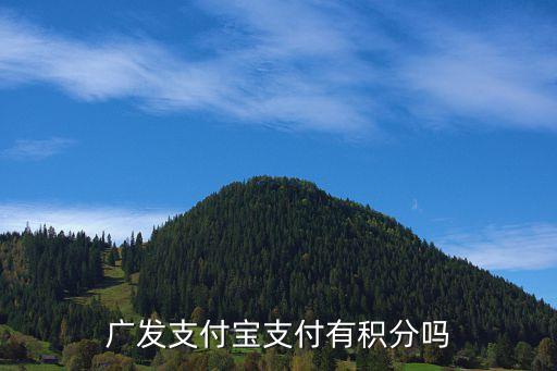 廣發(fā)什么支付有積分，廣發(fā) 支付寶和微信有積分嗎