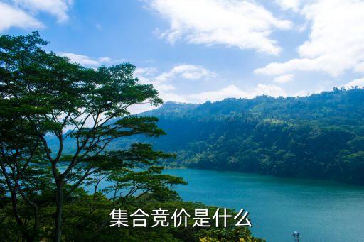 什么叫集合競價(jià)，什么叫集合競價(jià)怎么回事