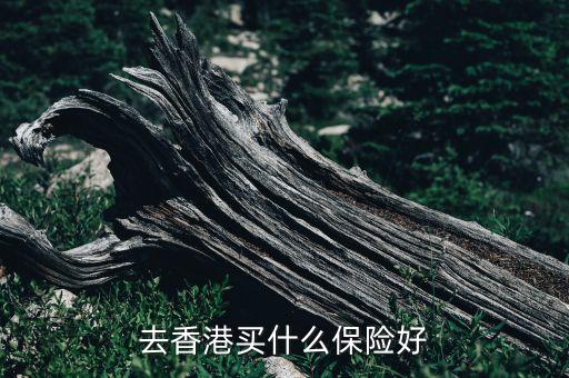 香港買什么保險，香港保險推薦哪一種類型比較好