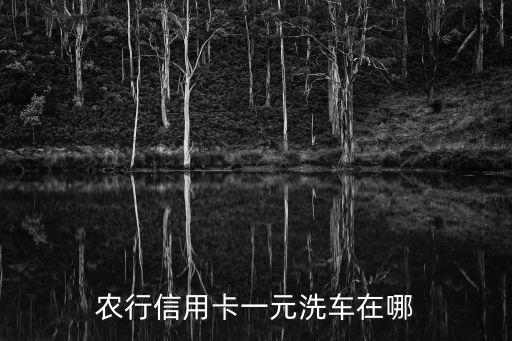 農(nóng)行信用卡一元洗車在哪