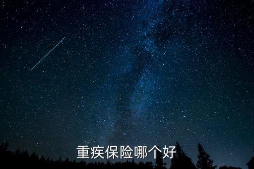 重疾保險(xiǎn)哪個(gè)好