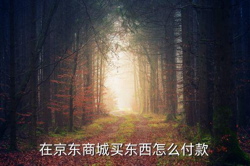 京東要怎么付款方式，在京東商城買東西怎么付款