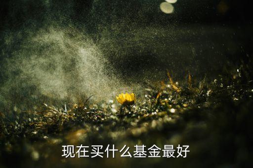 滬a 買什么基金，現(xiàn)在買什么基金比較好啊