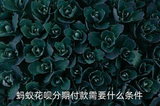 螞蟻花唄分期付款需要什么條件