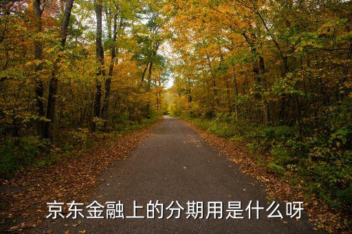 京東金融上的分期用是什么呀