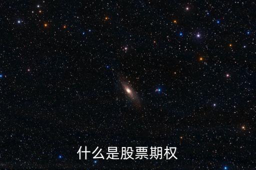 什么是股票期權(quán)