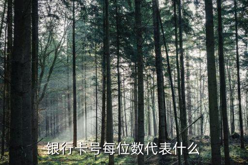 中國(guó)銀行卡號(hào)開頭代表什么意思，中國(guó)銀行卡前面幾位數(shù)是什么