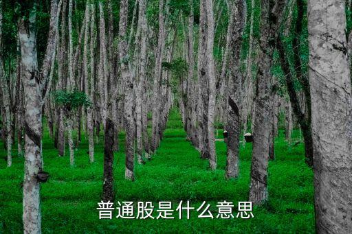 普通股是什么意思