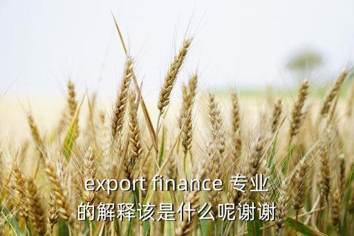 export finance 專業(yè)的解釋該是什么呢謝謝