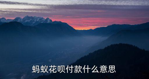支付寶有了花唄付款是什么意思啊，支付寶花唄付款是什么意思