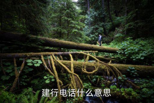 建行來(lái)電話(huà)是什么意思啊，95588給我打電話(huà)是怎么回事
