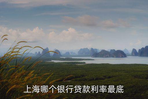上海哪個銀行貸款利率最底