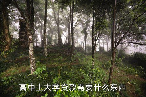高校申請貸款需要什么，申請高校助學貸款