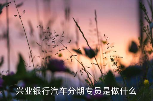 銀行分期專員干什么的，信用卡分期專員主要是做什么的