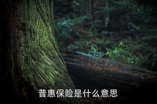 普惠保險是什么意思