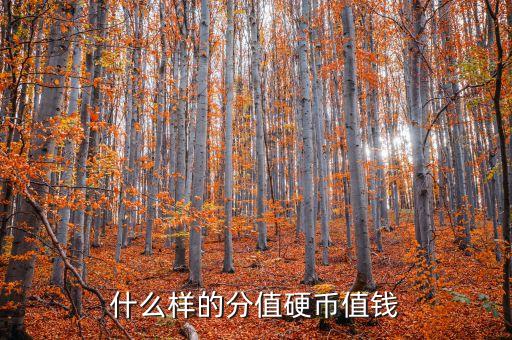 什么樣的分值硬幣值錢