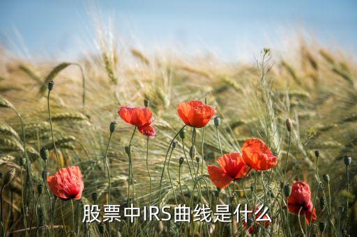 權(quán)益曲線是什么意思，管理學(xué)中權(quán)利線名詞解釋